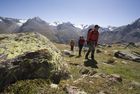 Wildes Mannle Vent Oetztal 05
