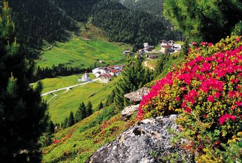 Alpenrosen Urlaub Vent Montana